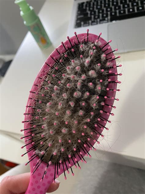 Why Use A Wet Brush at Minnie Steadman blog