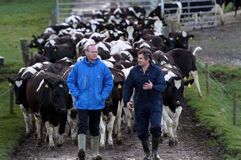 Milk Quota Abolition The Most Fundamental Change To Irish