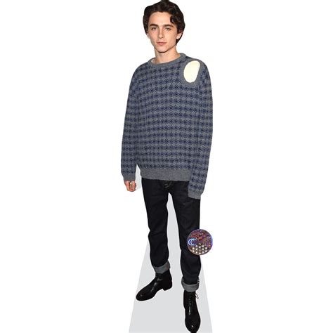 Timothee Chalamet Casual Mini Cardboard Cutout Standee Walmart