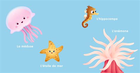 DISNEY BABY Mes 100 Premiers Mots Les Animaux Hachette Fr