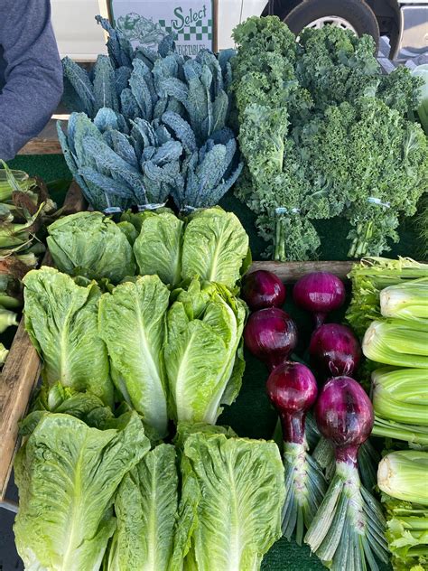 Orcutt Certified Farmers Market | Santa Maria CA