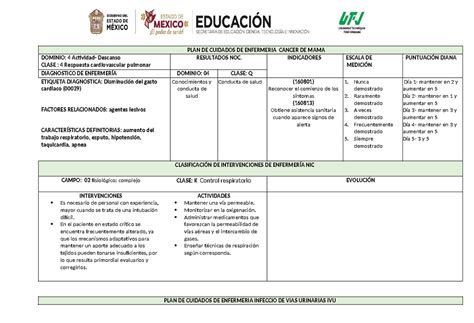 Places Plan De Cuidados De Enfermeria Cancer De Mama Dominio