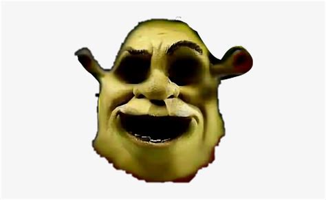 Ahhhhh Spooky Scary Shrek Shrekisloveshrekislife Memes - Shrek Face ...