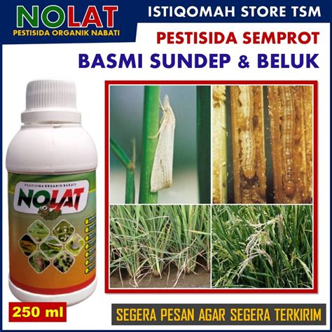 Jual Pupuk Pestisida Organik Semprot Untuk Mengendalikan Hama Sundep