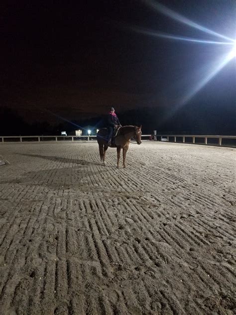 Hidden Treasure Farm | Hillsborough NJ