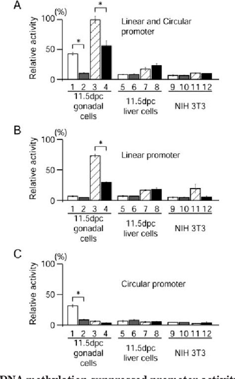 Figure 1 From DNA Methylation Mediated Control Of Sry Gene Expression