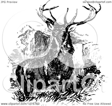 Clipart Retro Vintage Black And White Stag Buck Deer With Antlers 1 Royalty Free Vector