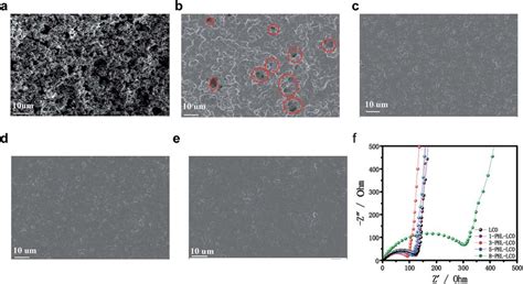 Sem Images Of A Uncoated Lco B Phl Lco C Phl Lco D