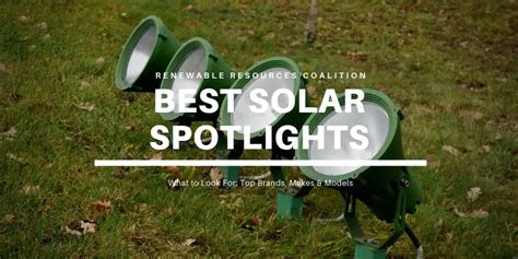 4 Best Solar Spotlights for Landscaping & Gardens (FOUND)