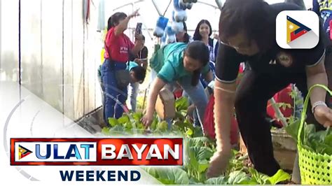 Community Garden Sa Ilalim Ng Hapag Project Ng Pamahalaan Napapakinabangan Na