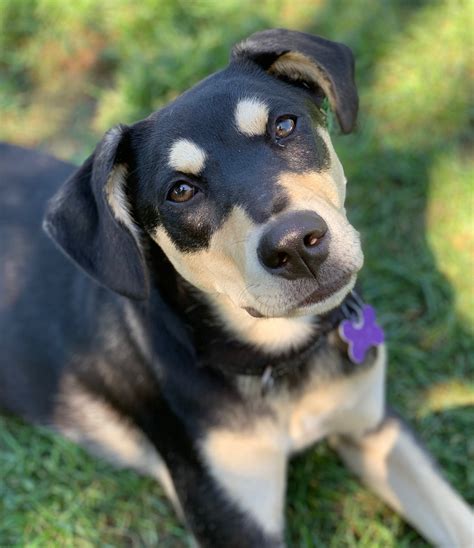 What’s the first behavior we have to change when we work with a fearful