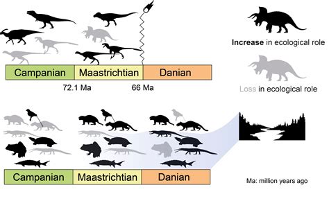 Study Shows Dinosaurs Were Struck Down In Their Prime By Asteroid