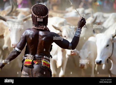 Woman With Stick At The Jumping Of The Bulls Hamer Ceremony This Hamer