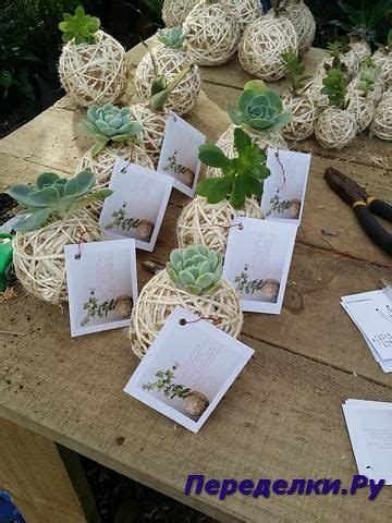 kokedamу- 9 | Kokedama, Planting succulents, Bonsai garden