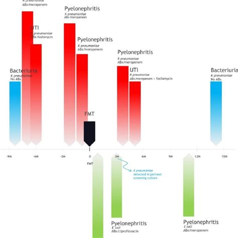 Clinical Course Of A Patient Who Underwent Fecal Microbiota