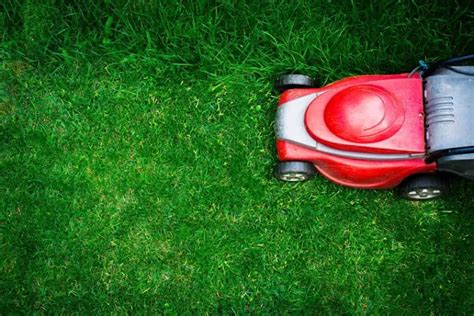 Understanding How Often Should You Mow Your Lawn Lawn Matters