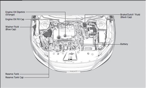 Honda Civic Under The Hood Diagram