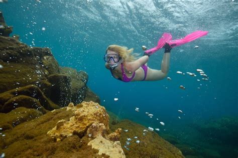 Dominica Small-Group Champagne Reef Snorkel Tour 2024