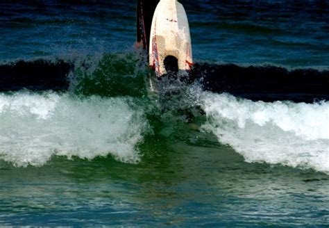 Banco de imagens mar agua Preto e branco onda Surfando veículo