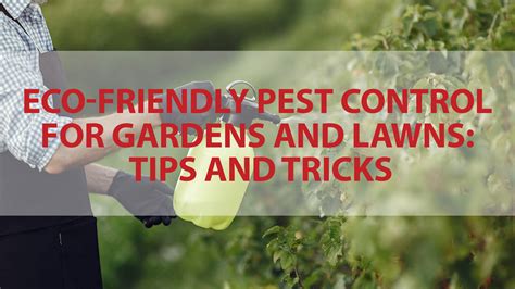 Eco Friendly Pest Management For Gardens And Lawns