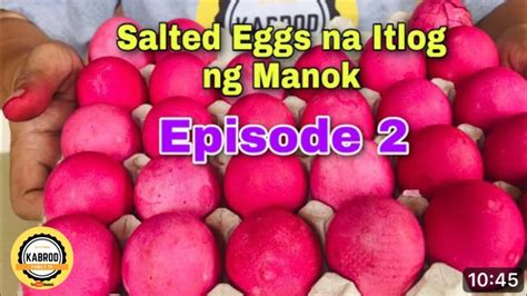 Paano Gumawa Ng Itlog Na Maalat Gamit Ang Itlog Ng Manok Episode 2 Of