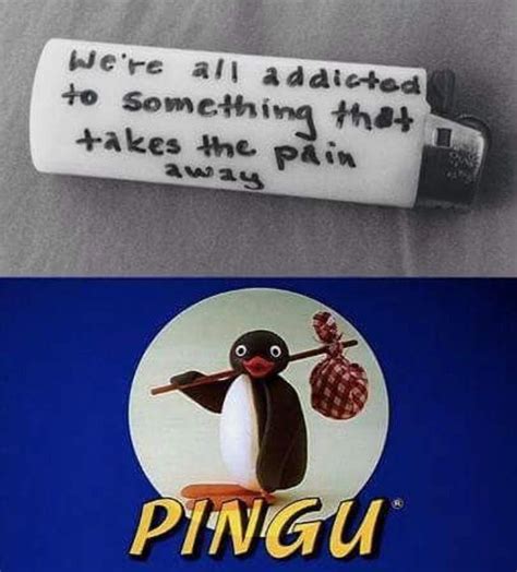 Pingu Memes