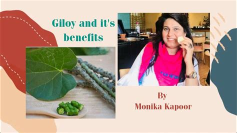 Giloy And Its Benefits By Monika Kapoor Youtube