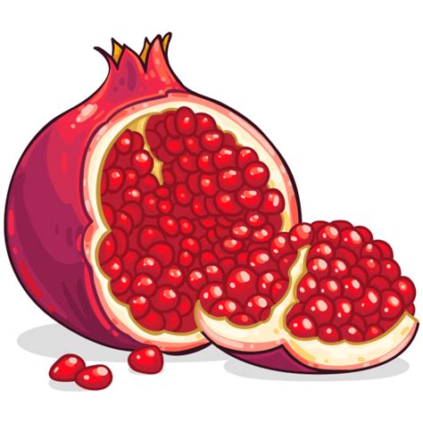 Pomegranate clipart clip art, Pomegranate clip art Transparent FREE for ...