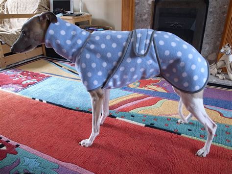 Italian Greyhoundwhippet Fleece Coat Iggy 4000 Via Etsy Dog