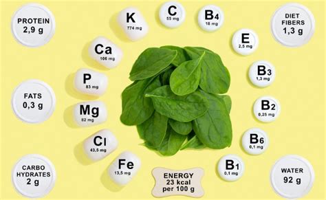 Spinach Vs Kale Benefits Unraveling The Nutritional Rivalry Abeille Dor