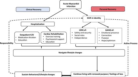 Conceptual Framework For Personal Recovery In Patients With Acute