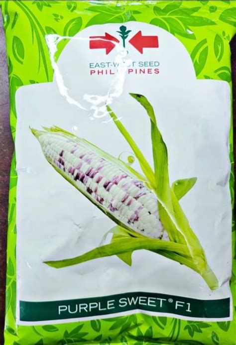 PURPLE SWEET F1 KILO HYBRID BATIK CORN BY EAST WEST SEEDS Lazada PH