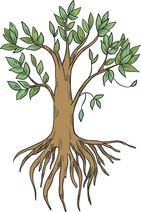 Tree With Roots Clipart Images Browse 2314 Stock Photos Clip Art