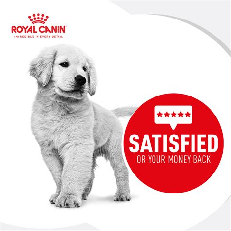 Buy Royal Canin Labrador Retriever Puppy Dry Dog Food Online | Better ...