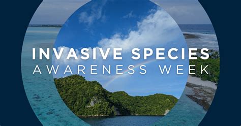 Island Conservation Invasive Species Awareness Week Island Conservation