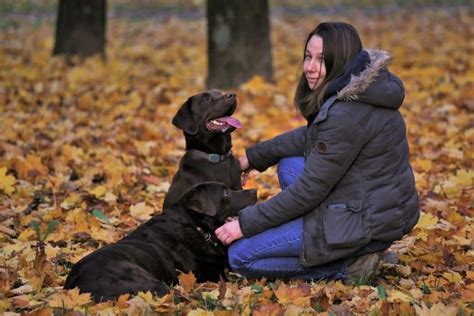 Dresseur Professionnel De Chien De Chasse Blog Pour Animaux