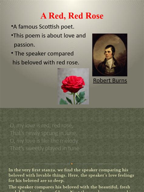 A Red, Red Rose | PDF | Poetry