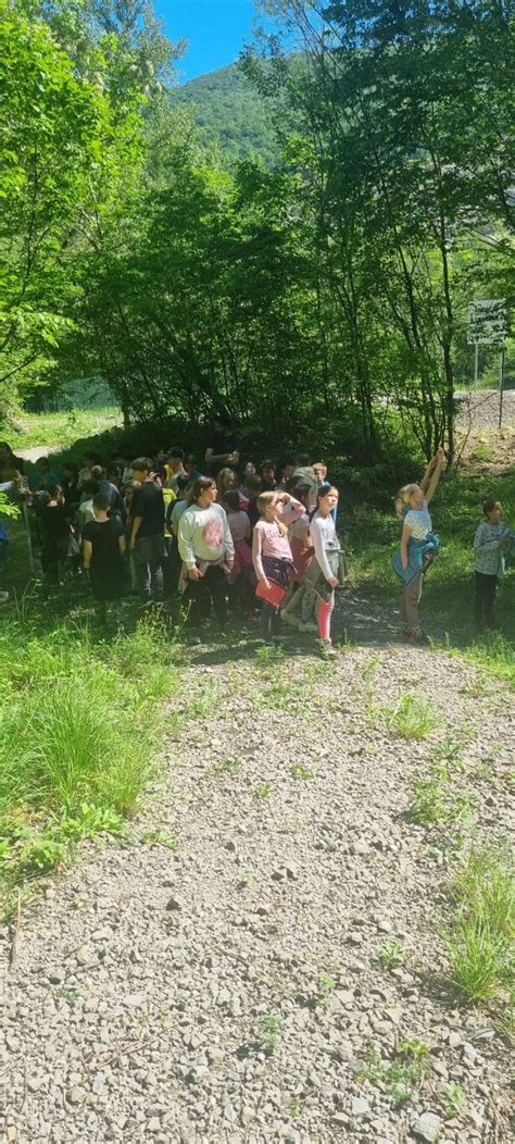 Ogled Opu Enega Kamnoloma Lastivnica O Tolmin