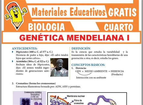 Biolog A Cuarto De Secundaria Fichas Gratis