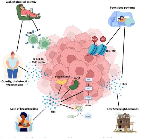 Figure From Racial Disparity In Quadruple Negative Breast Cancer