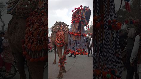 baloch cultural day balochi tradition balochistan outfit