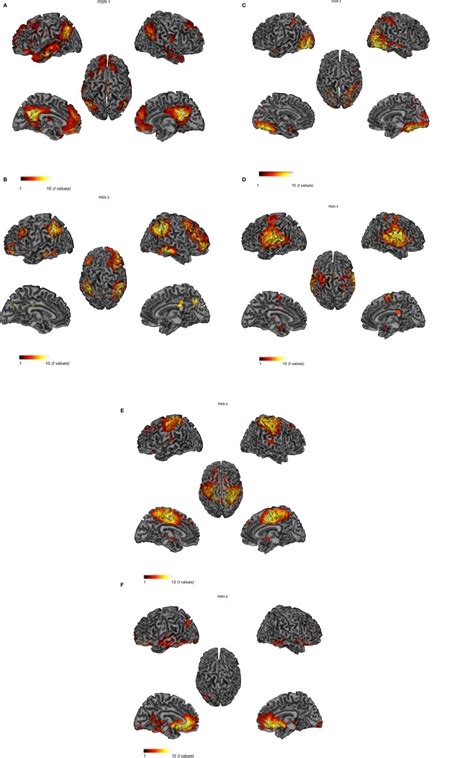 Cortical Representation Of The Activity In The Six Rsns For Each Rsn