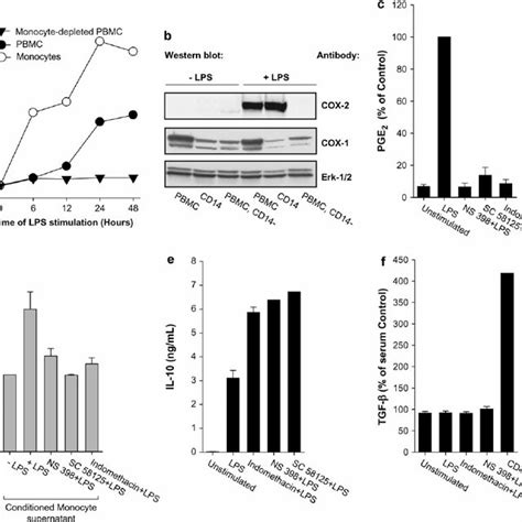 LPS Activation Of PBMC Leads To Induction Of COX 2 And Production Of