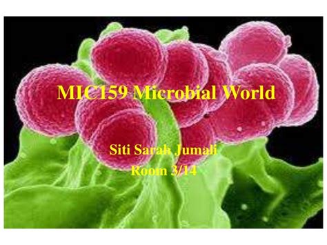 1 Introduction To Microbiology