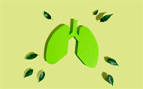 Embolie Pulmonaire Sympt Mes Causes Et Traitement Crokmou