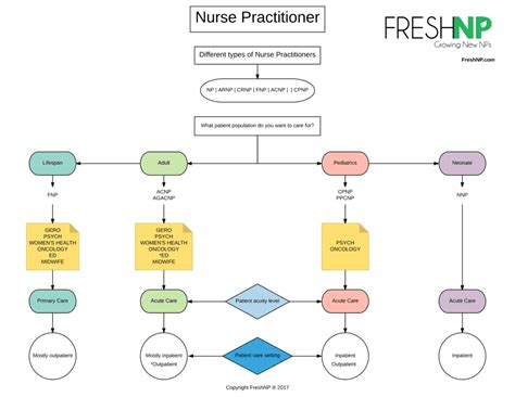 The Hierarchy Of Nursing Freshrn