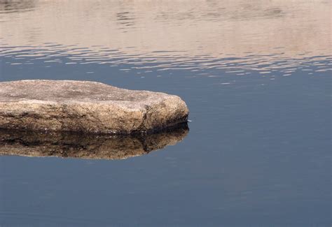 Rocks Water Free Stock Photo Flat Rock In A Small Pond 1919