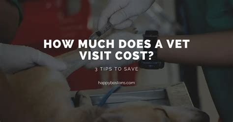 How Much Does A Vet Visit Cost For A Dog