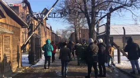 La Memoria Di Auschwitz A Anni Dalle Leggi Razziali Video Sky