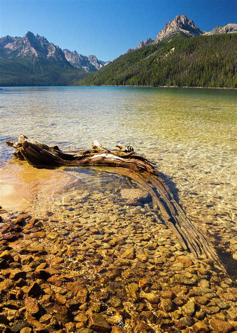 Redfish Lake Stanley Idaho Photograph By John Webster Fine Art America